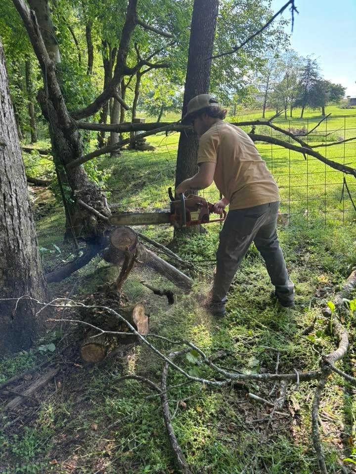Lawn care and landscaping work