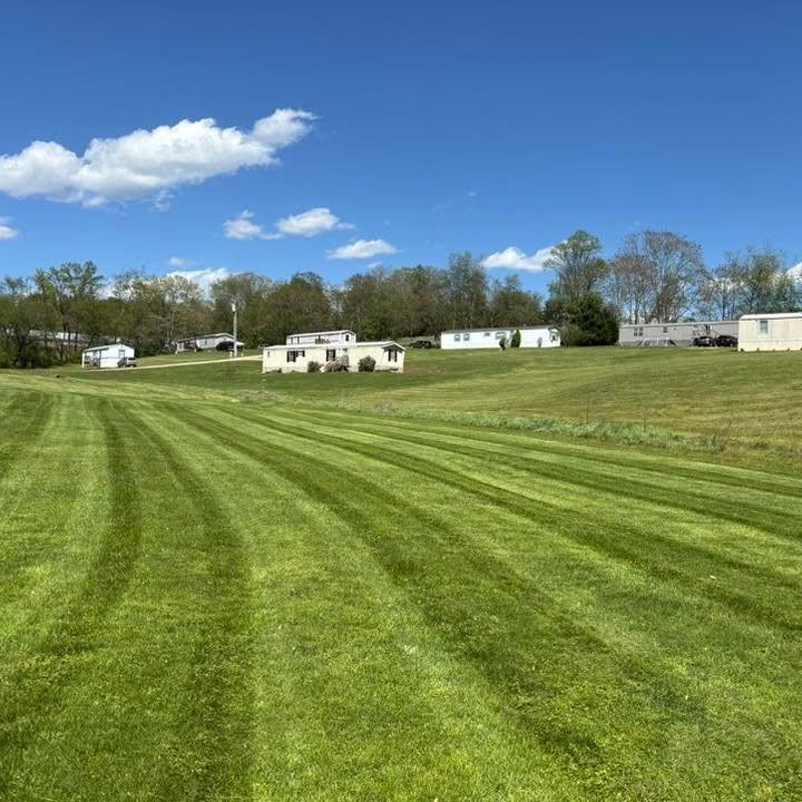 Maintained lawn and landscape